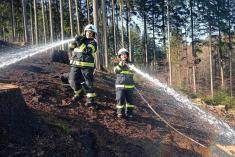 24.3.2022 – požár lesního porostu – Držková, U&nbsp;Svinského zásypu