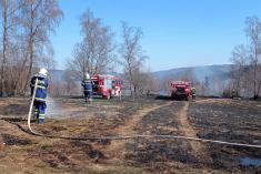 28.3.2022 – požár lesního porostu – Držková, Vančice
