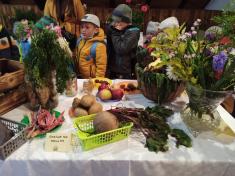 Výstava ovoce a zeleniny ve Vlčkové