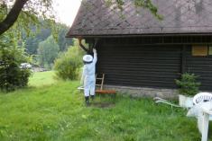 7.8.2020 - technická pomoc – likvidace bodavého hmyzu – Držková